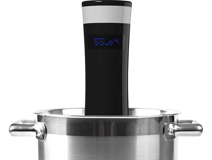 Sansaire sous vide